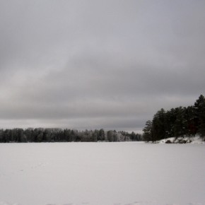 birchlake birchlake