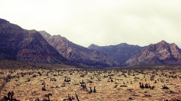 red rock canyon las vegas red rock canyon outside of las vegas