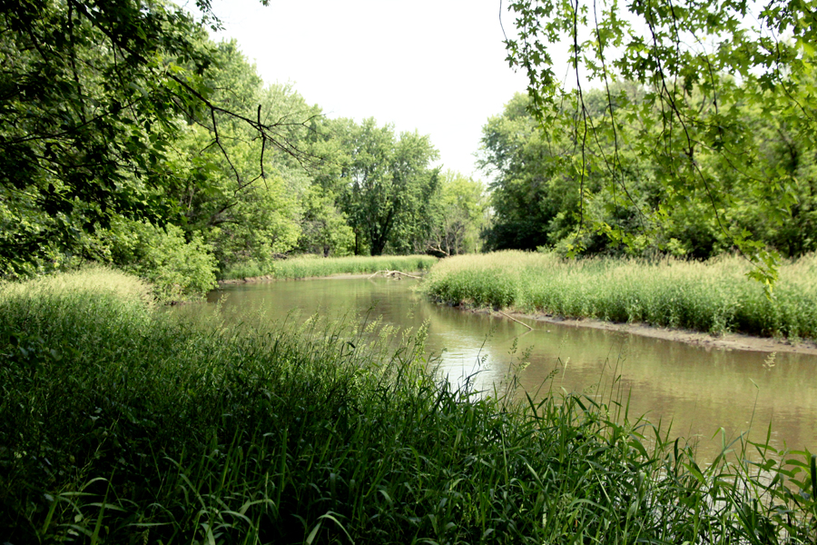 Nippersink Creek