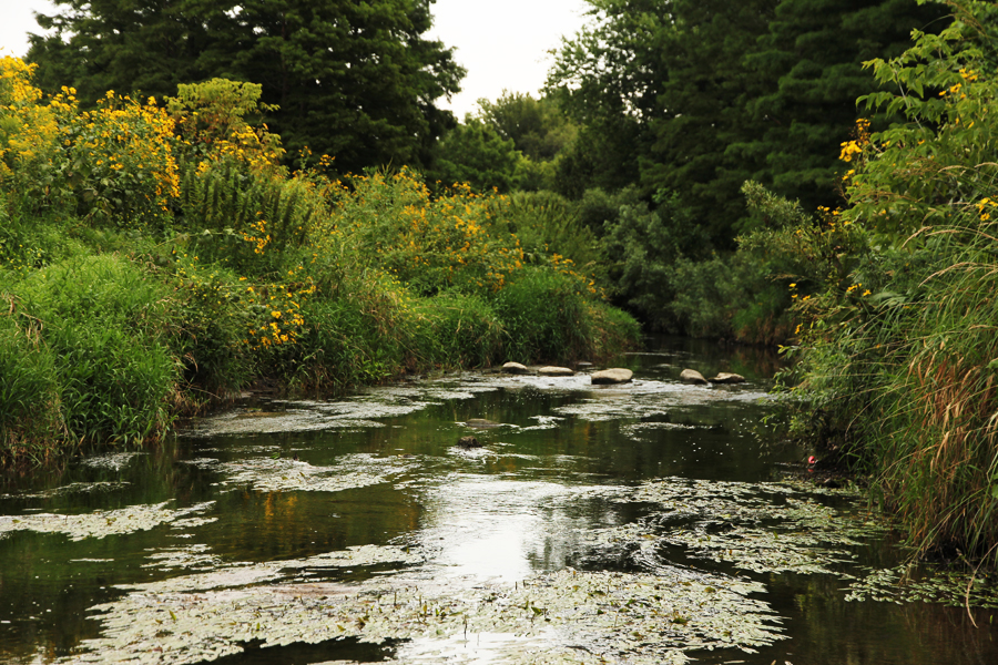 upstream skokie river corridor stream chicago botanic garden upstream skokie river corridor stream chicago botanic garden
