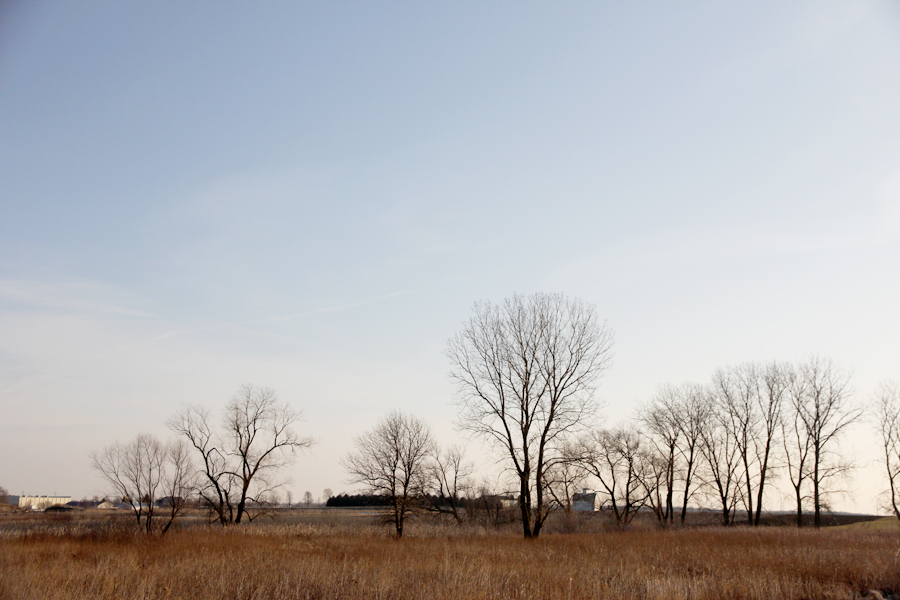 Harvey Creek Conservation Area landscape Harvey Creek Conservation Area landscape