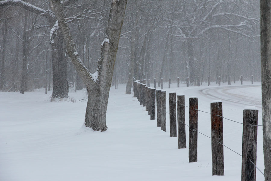 road of snow road of snow